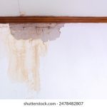 东森娱乐娱乐如何引领现代娱乐潮流与趋势 4gecs1