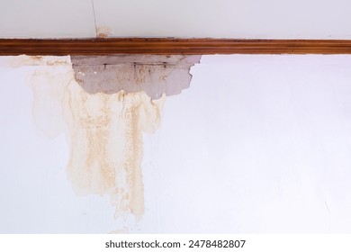 东森娱乐娱乐如何引领现代娱乐潮流与趋势