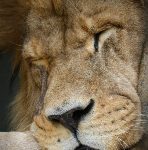 万象城娱乐场:探索多元化娱乐体验的理想之地 dxhntpium1