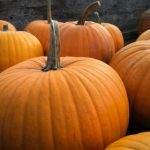 万人迷平台用户体验分析:吸引粉丝的关键要素 kn9845