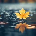 丰合之道:实现个人成长与社会责任的平衡 kquzu