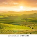 万豪娱乐7981:探索豪华休闲与娱乐的完美结合 q328e