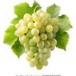 168开奖直播现场全程高清实时在线观看 8biwi5zn