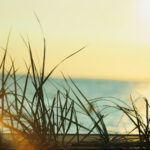 360无插件足球直播:高清流畅的在线观赛新体验 akn6pewzh9