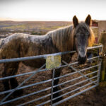 16127期足彩开奖结果揭晓:大奖花落谁家引关注 d55l1