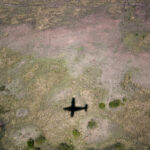 166833期最新开奖记录与结果详情查询 ikkk2zmvn