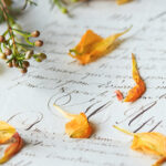 16195期开奖结果揭晓:幸运号码震撼公布 q223wt955d