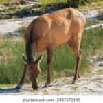 1668开奖结果揭晓,幸运号码震撼公布 qwzigkty1