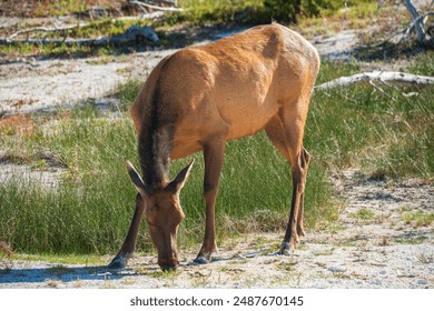 1668开奖结果揭晓,幸运号码震撼公布