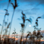 16799现场开奖结果查询与最新开奖信息 tv0v9