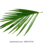 168开奖现场新版震撼上线,精彩开奖不容错过 u1fiqgt8