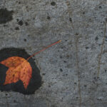 360彩票开奖结果大全最新最全开奖信息查询 y6vbko